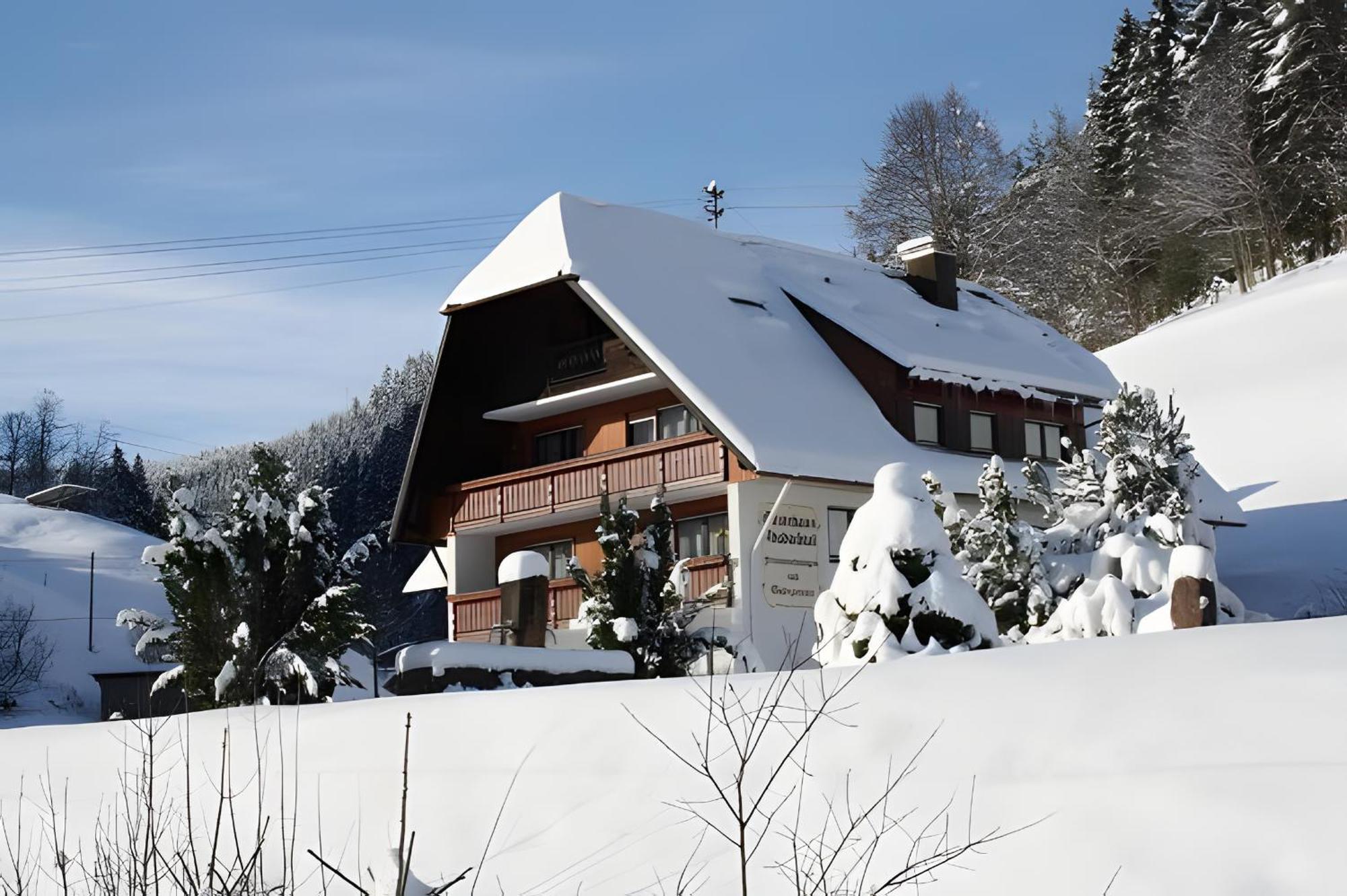 Gaestehaus Absbachtal Bad Rippoldsau-Schapbach Extérieur photo